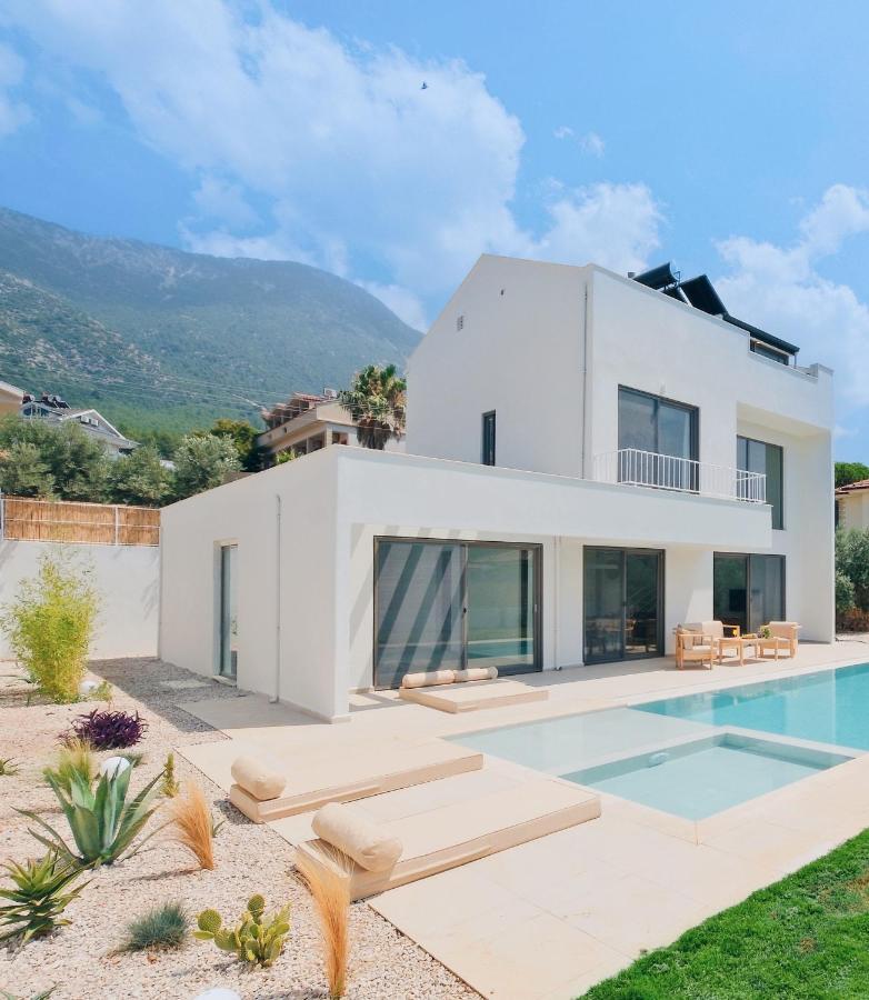 Neo With 2 Private Pools, Bbq, Jacuzzi And Sauna Fethiye